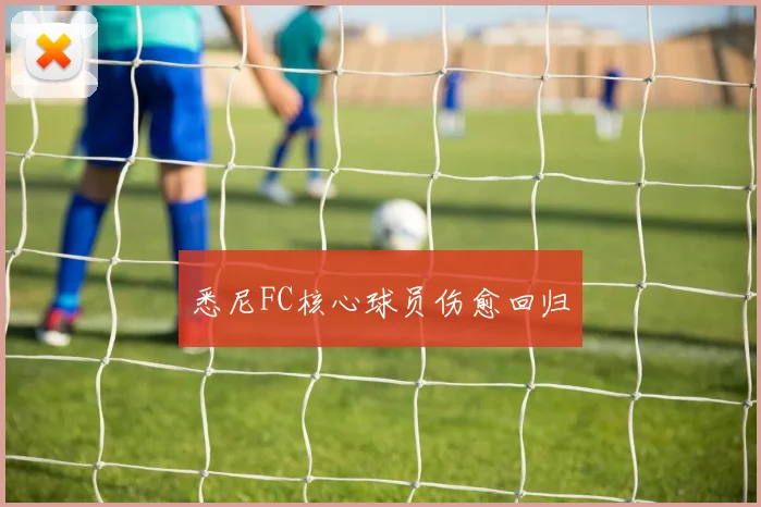 悉尼FC核心球员伤愈回归