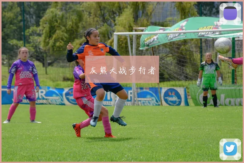 灰熊大战步行者