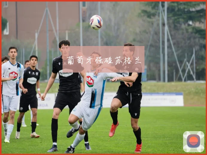 葡萄牙强碰苏格兰