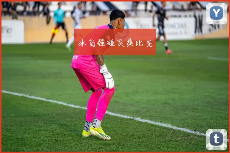 冰岛强碰莫桑比克