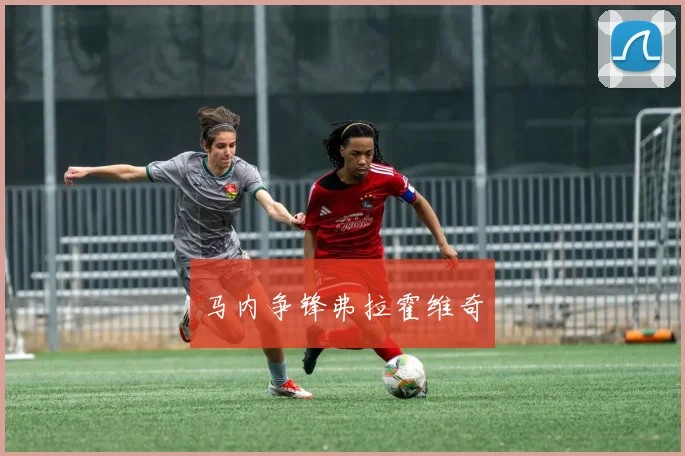 马内争锋弗拉霍维奇
