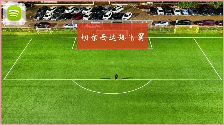 切尔西边路飞翼